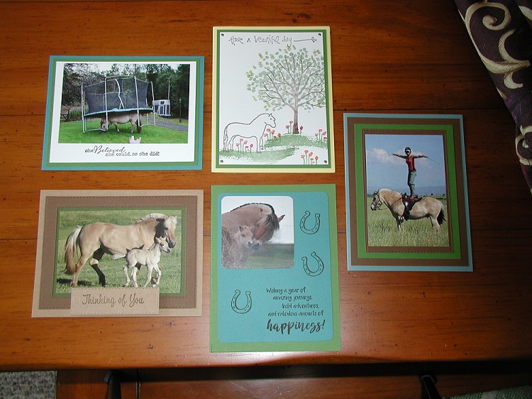 Exclusive Fjord Greeting Card Packs